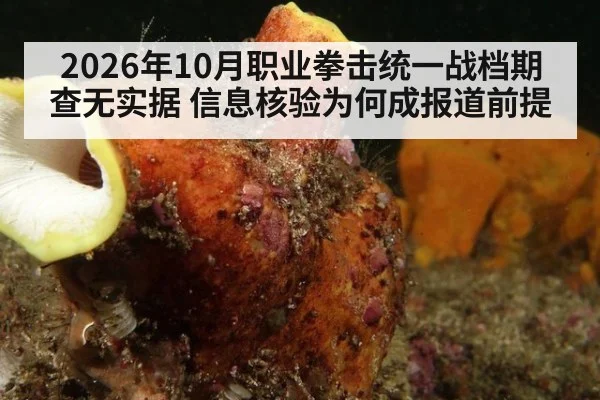 2026年10月职业拳击统一战档期查无实据 信息核验为何成报道前提